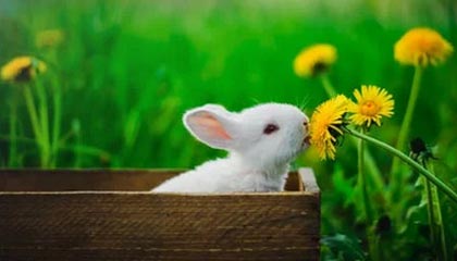 王楚钦男单夺冠后采访，小布和教练认真听还鼓掌，网友：这就是来自对手的尊重吧