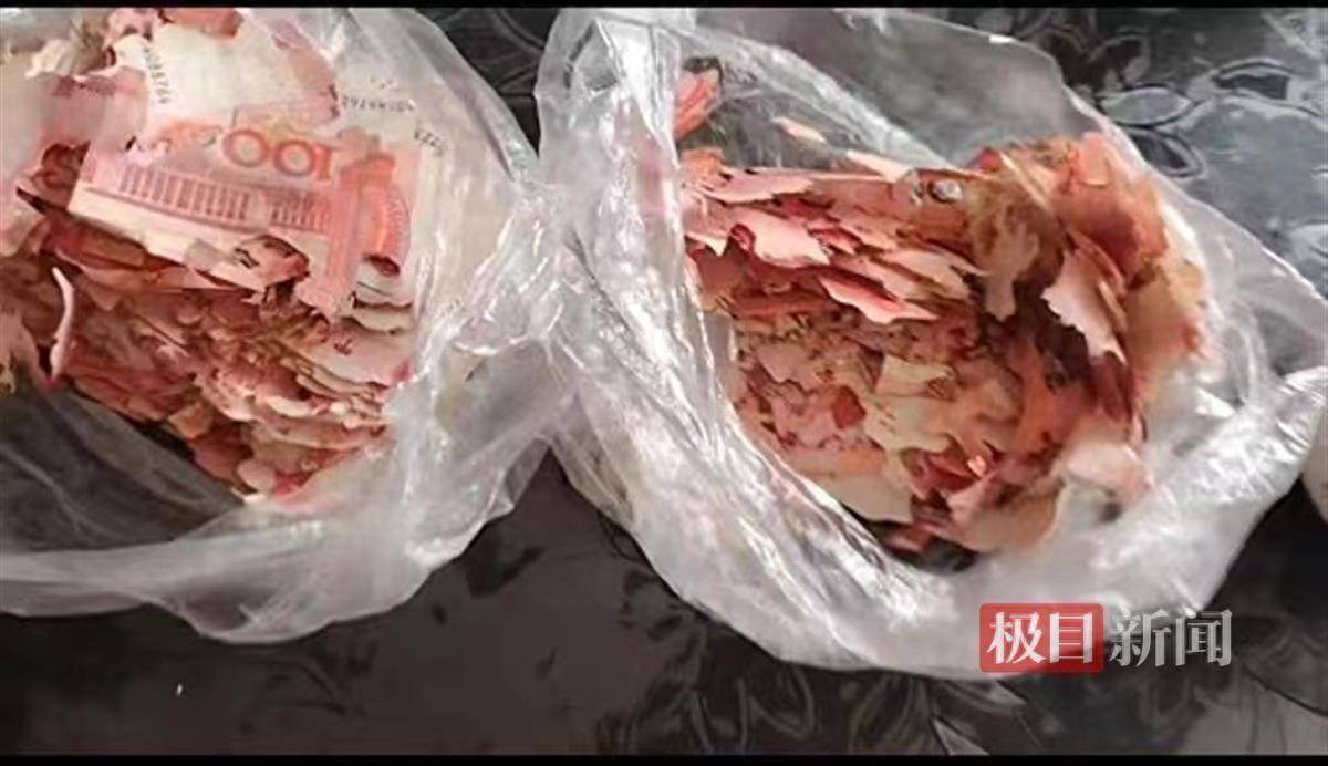 2.5万元积蓄埋在土里打开傻眼了,银行耐心鉴别兑换“虫咬币”