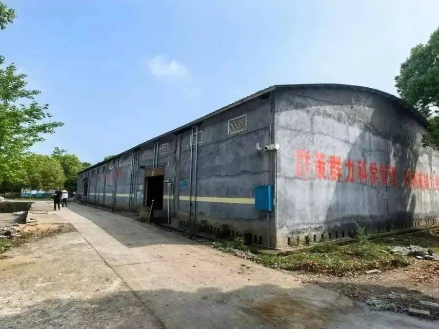 落槌可悔?男子花千万拍下花炮厂后被法院撤销,官方回应