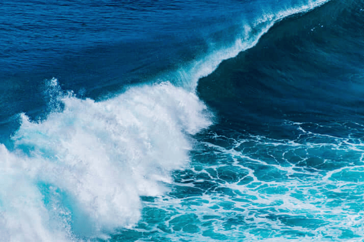 日本末世预言仅剩1天，作家离日旅行，民众分享“最后一天”计划