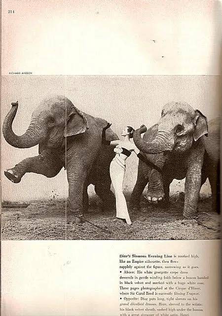 一个日本富二代,花7000万买了个二手铂金包,内幕是……