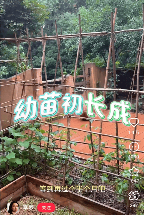 知名女演员官宣:我搬到杭州了