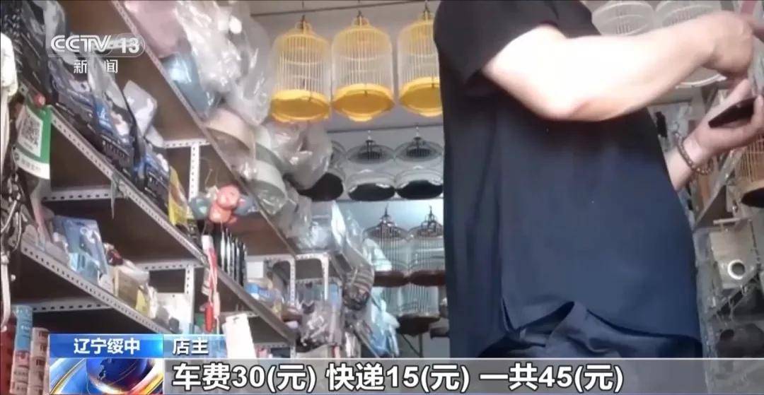 央视曝光当天，葫芦岛开展专项行动