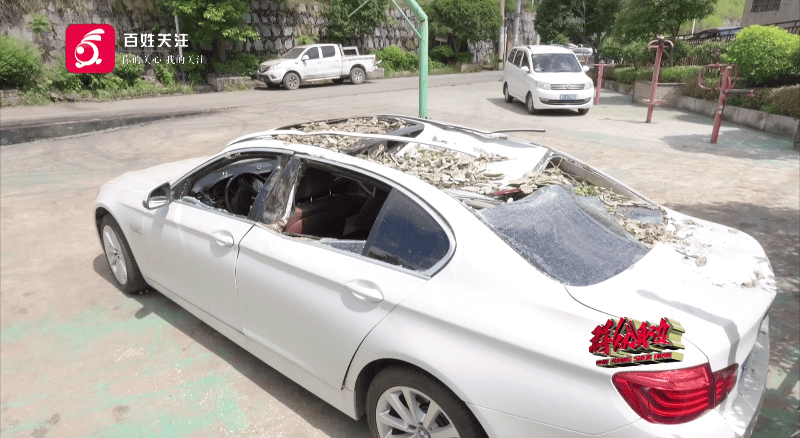 贵阳一700年古树砸扁“宝马”,现场惨不忍睹,林业局:车主他也有错