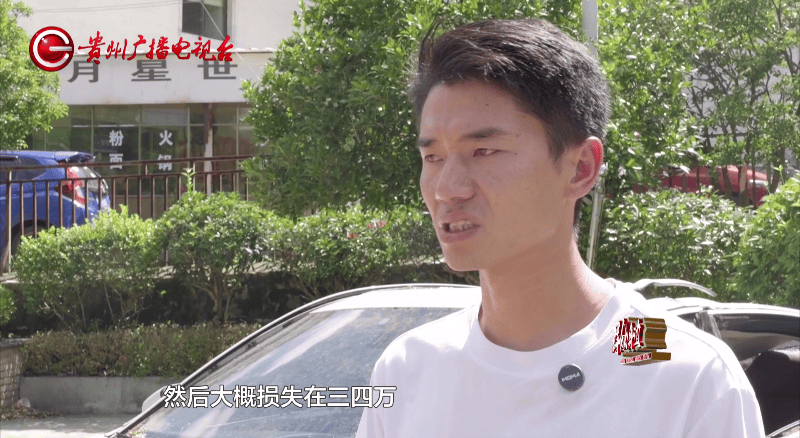 贵阳一700年古树砸扁“宝马”,现场惨不忍睹,林业局:车主他也有错