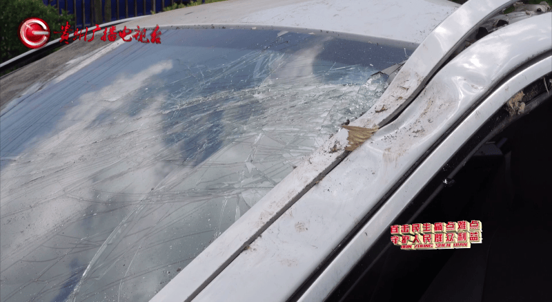 贵阳一700年古树砸扁“宝马”,现场惨不忍睹,林业局:车主他也有错