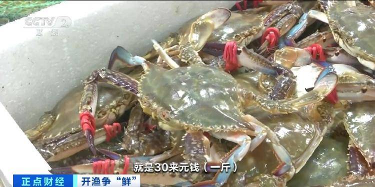 大连“开海”首个周末,海鲜价格走势如何?记者探访→