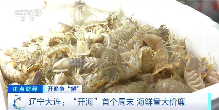 大连“开海”首个周末,海鲜价格走势如何?记者探访→