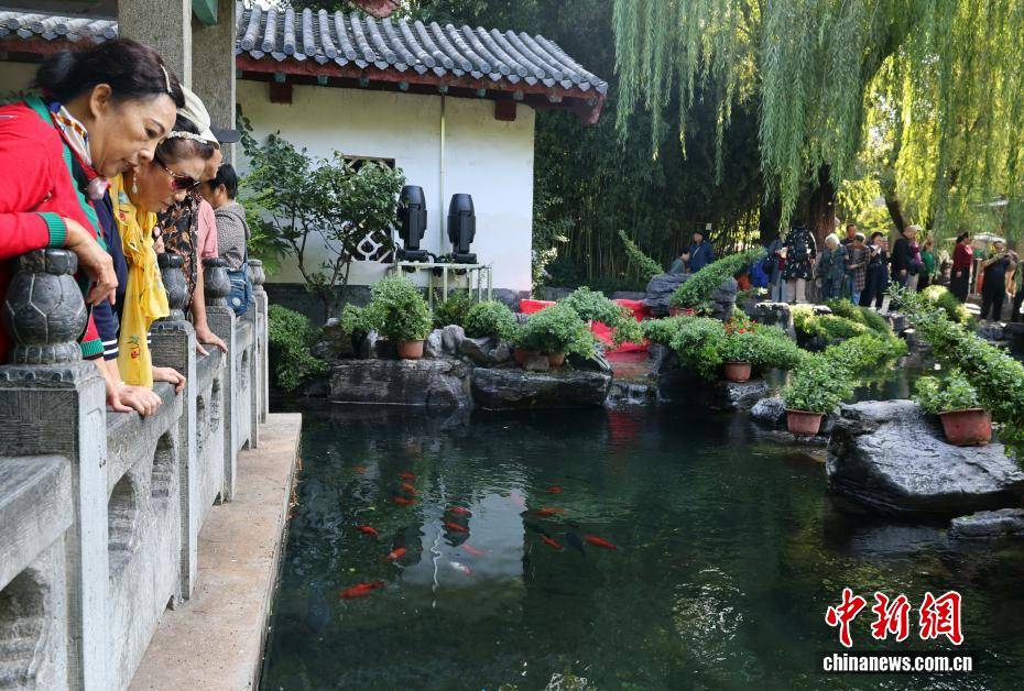 济南趵突泉水位创60年来最高纪录 迎最佳观赏期