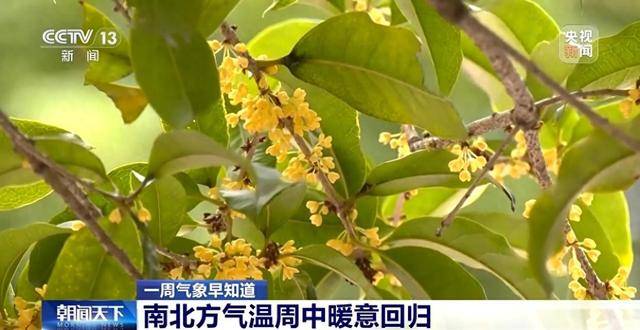 周中南北方暖意回归 黑龙江局地或有暴雪 一周气象早知道