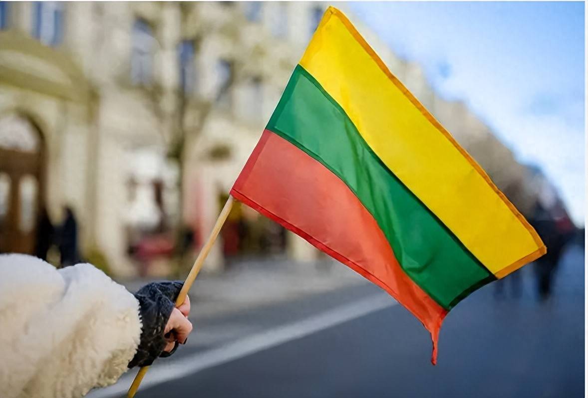 立陶宛又开始跳了，联合法意等国提交了一份涉华政策文件，鼓吹对华打贸易战